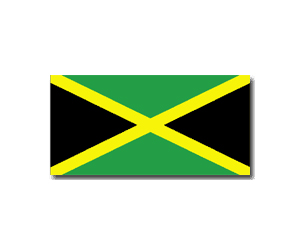 Flag Symbol Image