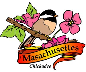 Image of the Masachusettes State Symbols