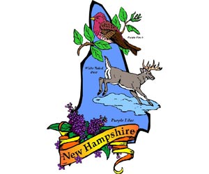 Image of the New Hampshire State Symbols