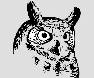 Black Bird Symbol Image