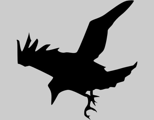 Raven Symbol picture
