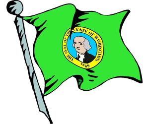 Washington Flag | One of the 50 US State Flags